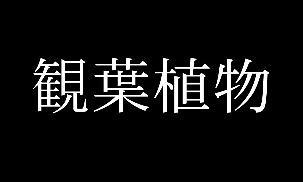 footer background 300x169.jpg